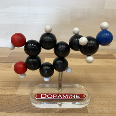 dopamine molecule model